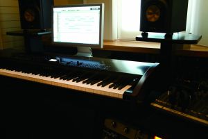 MP 10 Professional Stage piano