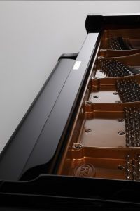 GX-2 White