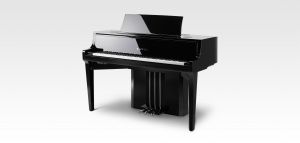 Digital Grand Novus NV-10